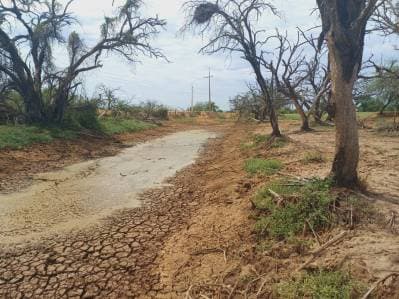 Campo agricola en venta