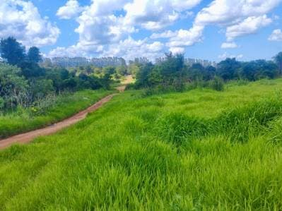Se Vende Terreno en Minga Guazu KM16