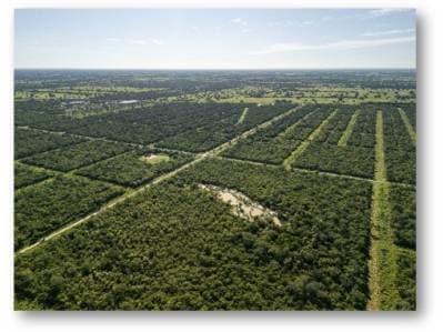 Terreno industrial 10.3 hectáreas en Cruce Esmeralda Filadelfia chaco Paraguayo