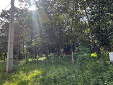 Terreno en venta en San Bernardino – zona Anfiteatro en esquina