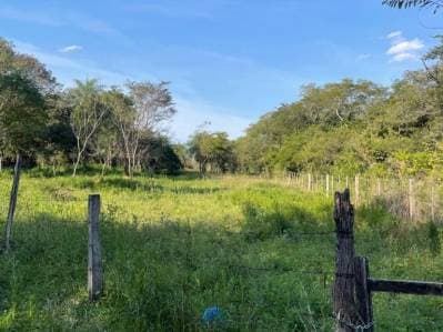 En venta amplia propiedad en la ciuada de Eusebio Ayala Cordillera