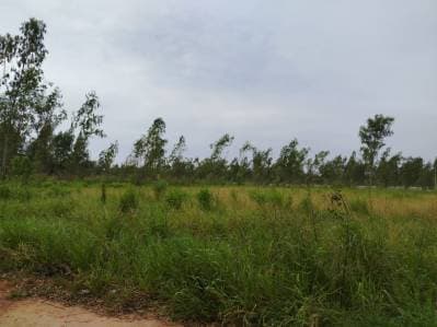 En venta hermoso terreno en limpio | 382,5 m²