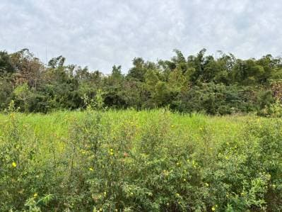 Terreno en venta – zona aldana cañada, Capiatá