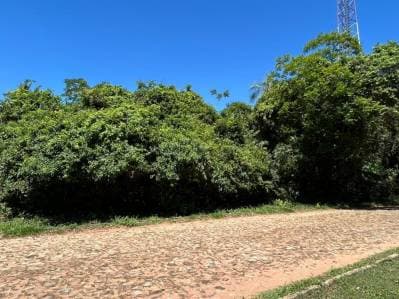 En venta Terreno en Loma Grande