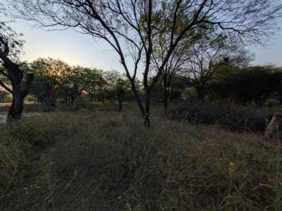 Terreno en venta