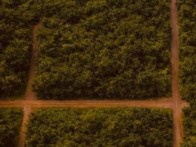 Terreno en Venta – 806 m² en la ciudad de Altos