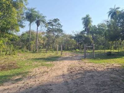 Vendo 12 HA en Nueva Colombia