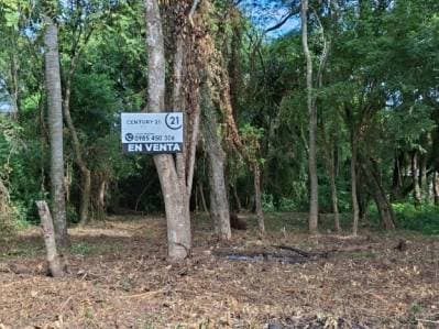 Lote 360m2 en Barrio La Esperanza
