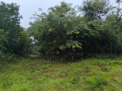 Venta de Terreno en Altos
