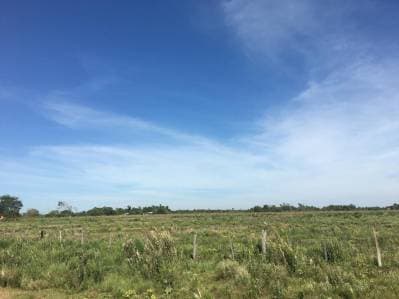 Campo en venta ,19 hectáreas, con gran potencial productivo en abaí, caazapá