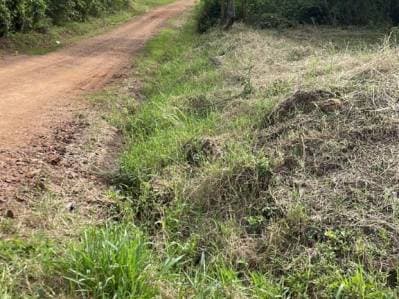 Oportunidad de Inversión: 1.080 m² estratégicos a pasos de Ruta 1