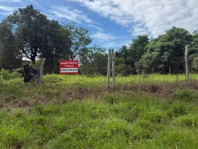 En alquiler amblio terreno en Zona del Yacht