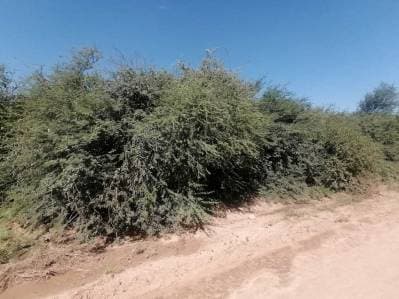Terreno comercial habitacional en venta