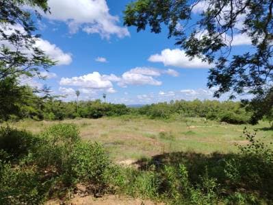 En venta amplio terreno en San Bernardino, pirayu’i