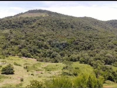 Vendo 52 Hectáreas en las serranías del Yvyturuzu-Colonia Independencia