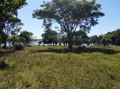 En venta propiedad sobre el arroyo caraguata