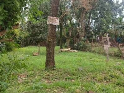 Terreno en San Isidro en Encarnación