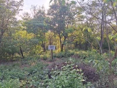 Vendo hermoso terreno en Ciervo Cua