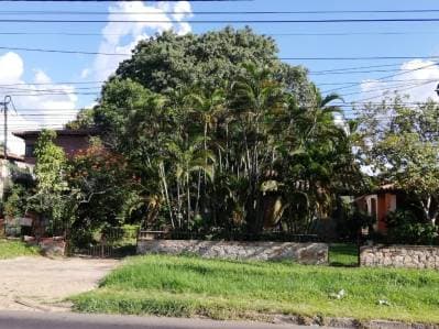 Vendo terreno sobre avda. Ex transchaco - loma pyta