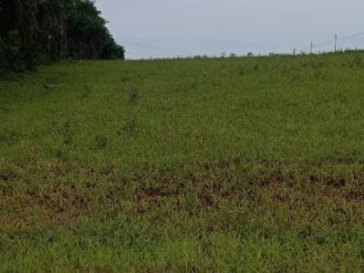 Terreno en Venta – Piribebuy, Cordillera