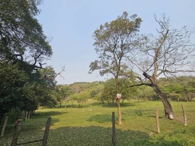 Vendo propiedad en altos a 600 mts de ruta