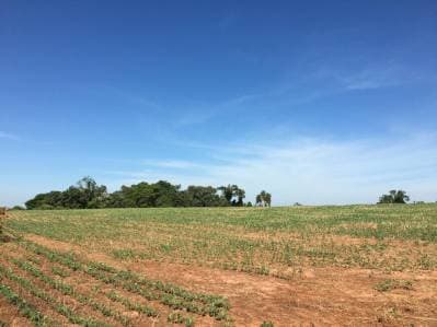 Campo en venta | 15 hectáreas con gran potencial productivo en abaí, caazapá