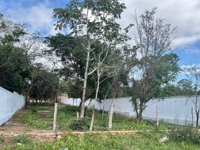 Vendo amplio terreno en San Bernardino