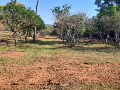En venta terreno en la ciudad de piribebuy
