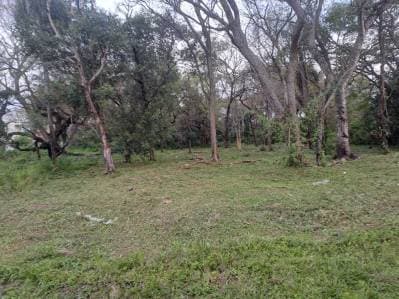 Terreno en Venta – San Bernardino a pocos metros del Country Club