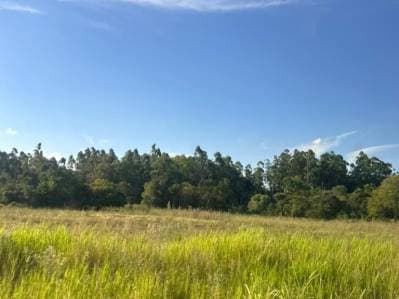 Lote en Venta en San Juan del Paraná a pasos de la ruta 1