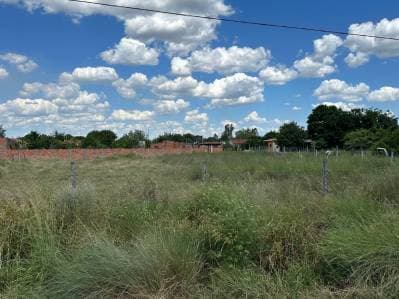 Terreno en pilar