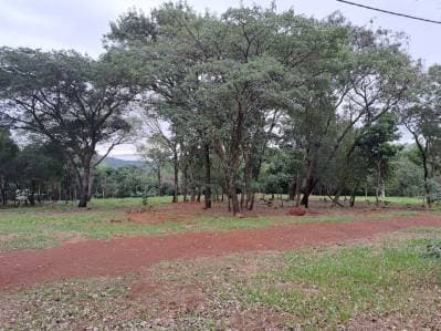 Vendo hermosos terrenos en San Bernardino