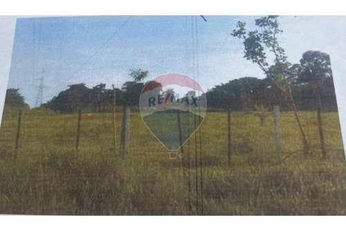 Vendo terreno de 5has en santaní