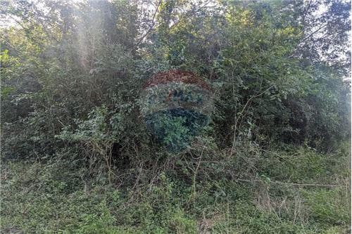 Terreno en oferta en la ciudad de limpio