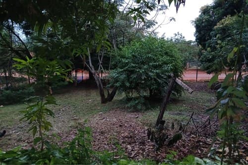 "Casa de Campo en Itauguá"