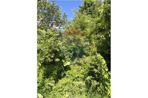 Terreno en PRODUCTIVO TERRENO, Obligado