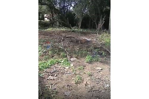 Vendo terreno en limpio isla aveiro