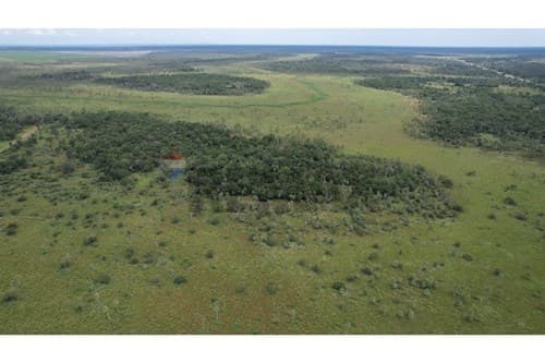 Inversión única sobre ruta – 181 has en villeta