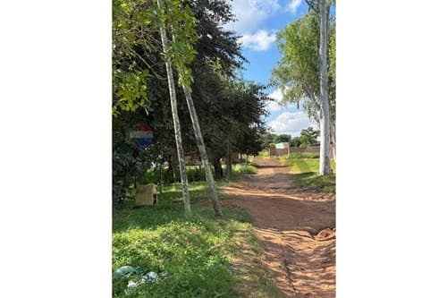 Calle 8 de diciembre, Ypané, Central