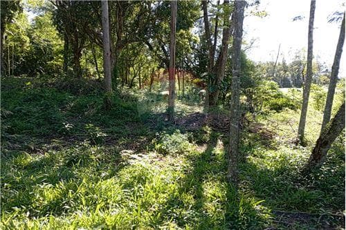 Bello, tranquilo y amplio TERRENO - VENTA
