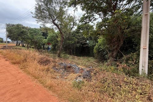 En venta 4 terreno juntos en Coronel Oviedo