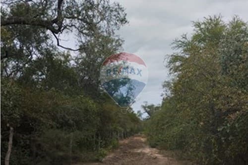 "Campo Virgen en Venta: 500ha en el Chaco Py"