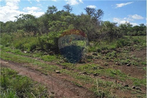 2o hectareas en pleno centro de cap miranda...!!!
