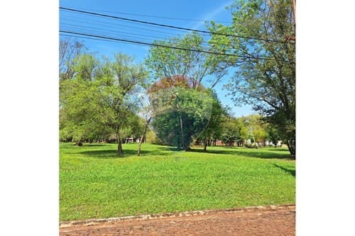 ¡Terrenos en Hohenau: Tranquilidad y Naturaleza!
