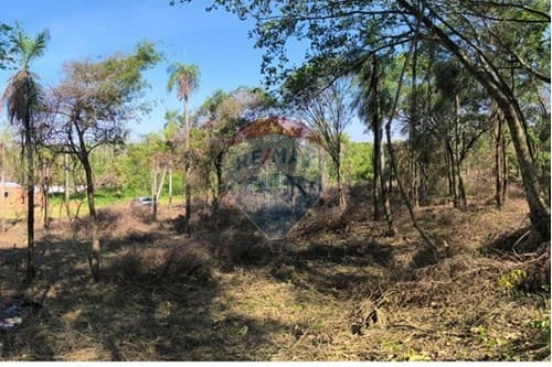 Vendo terreno en caacupe