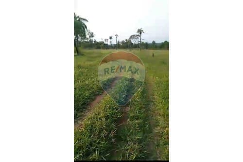 Inversión en Campo de 20 has. en Ybycu´í