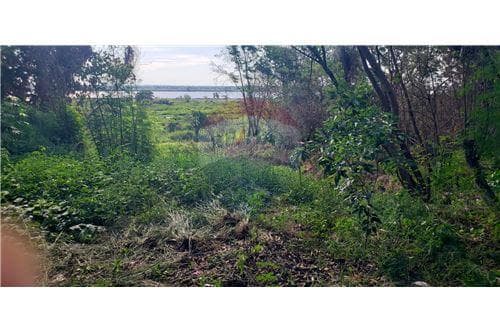 Alquilo amplio terreno zona Puerto Seguro