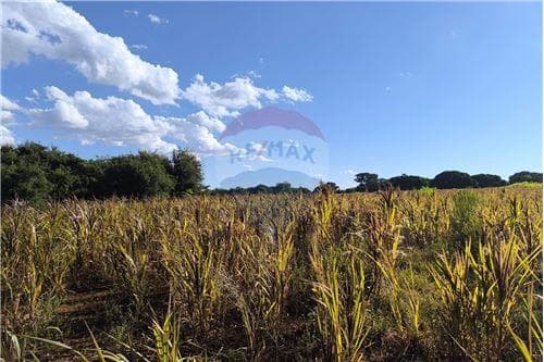 Propiedad en Venta en Carmen del Parana