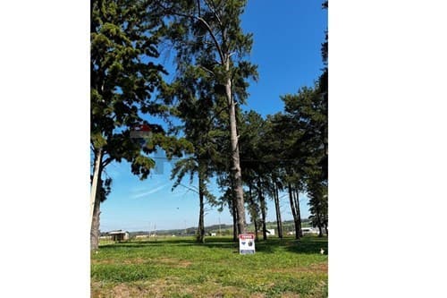 Terreno Comercial en Venta