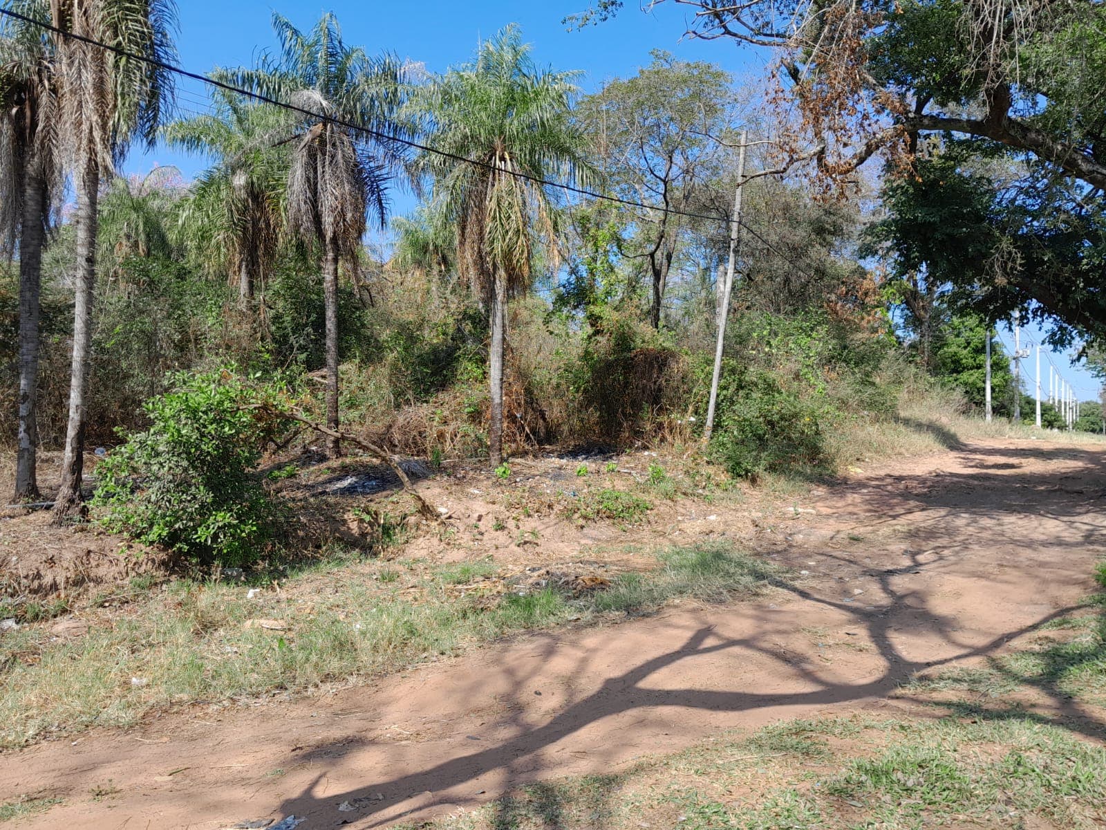 Vendo terrenos en aregua